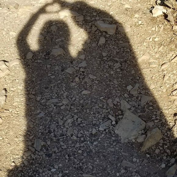 Meet your Posher, Tiffany - Picture 1 of 1